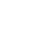 icon-wings