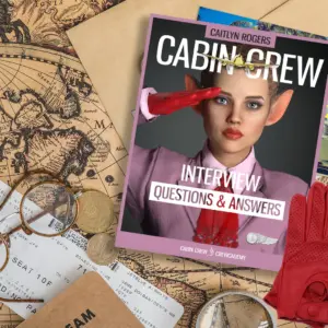Cabin Crew Elf Ears