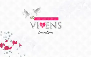 Blusing Vixens Logo Design and Banner